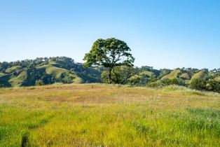 Residential Acreage,  Stewarts Point Skaggs Springs road, Healdsburg, CA 95448 - 30