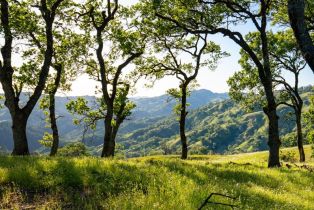 Residential Acreage,  Stewarts Point Skaggs Springs road, Healdsburg, CA 95448 - 13