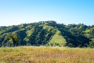 Residential Acreage,  Stewarts Point Skaggs Springs road, Healdsburg, CA 95448 - 14