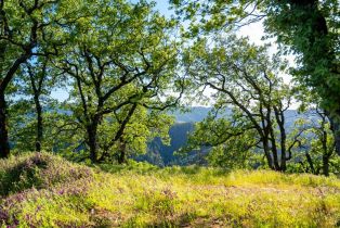 Residential Acreage,  Stewarts Point Skaggs Springs road, Healdsburg, CA 95448 - 29