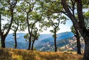 Residential Acreage,  Stewarts Point Skaggs Springs road, Healdsburg, CA 95448 - 6