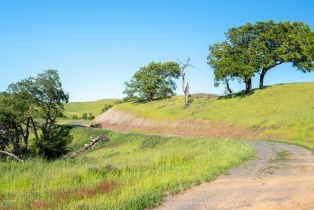 Residential Acreage,  Stewarts Point Skaggs Springs road, Healdsburg, CA 95448 - 22