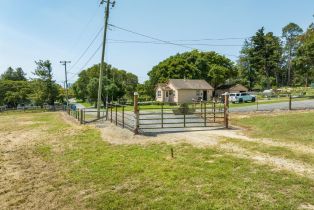 Agriculture,  Jewett road, Petaluma, CA 94952 - 33