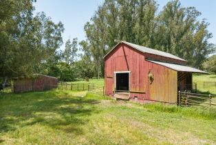 Agriculture,  Jewett road, Petaluma, CA 94952 - 20