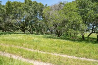 Agriculture,  Jewett road, Petaluma, CA 94952 - 24