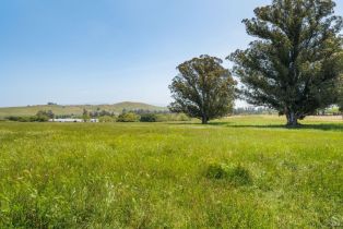 Agriculture,  Jewett road, Petaluma, CA 94952 - 34