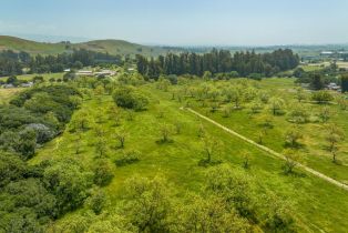 Agriculture,  Jewett road, Petaluma, CA 94952 - 13