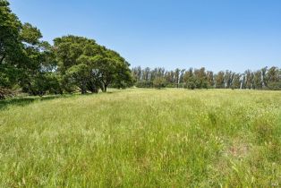 Agriculture,  Jewett road, Petaluma, CA 94952 - 26