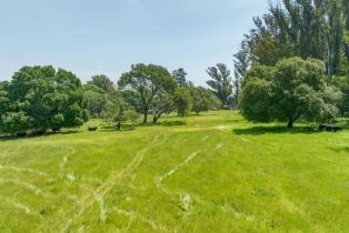 Agriculture,  Jewett road, Petaluma, CA 94952 - 11