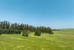 Agriculture,  Jewett road, Petaluma, CA 94952 - 23