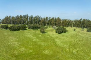 Agriculture,  Jewett road, Petaluma, CA 94952 - 10