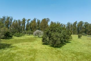 Agriculture,  Jewett road, Petaluma, CA 94952 - 19