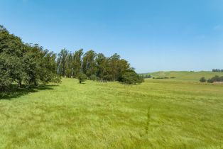 Agriculture,  Jewett road, Petaluma, CA 94952 - 18