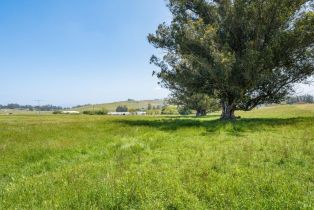 Agriculture,  Jewett road, Petaluma, CA 94952 - 5