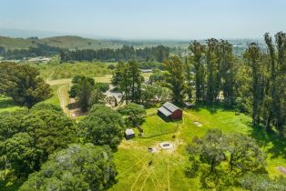 Agriculture,  Jewett road, Petaluma, CA 94952 - 12