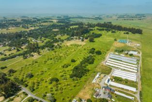 Agriculture,  Jewett road, Petaluma, CA 94952 - 29