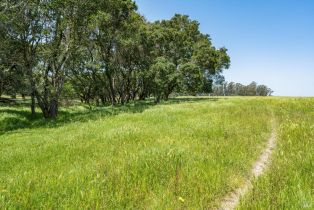 Agriculture,  Jewett road, Petaluma, CA 94952 - 25