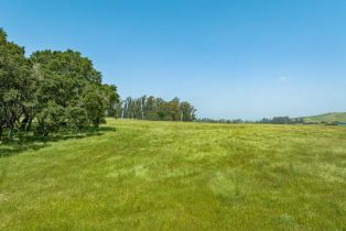 Agriculture,  Jewett road, Petaluma, CA 94952 - 16