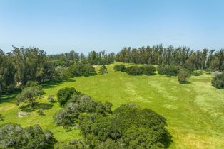 Agriculture,  Jewett road, Petaluma, CA 94952 - 15