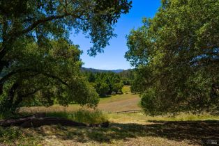 Single Family Residence,  Mill Creek road, Healdsburg, CA 95448 - 6