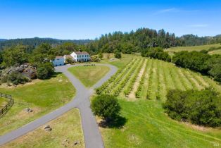 Single Family Residence,  Mill Creek road, Healdsburg, CA 95448 - 39