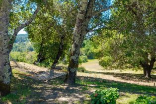 Single Family Residence,  Mill Creek road, Healdsburg, CA 95448 - 33