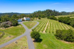 Single Family Residence,  Mill Creek road, Healdsburg, CA 95448 - 40