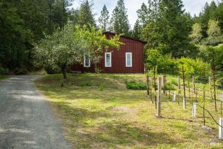 Single Family Residence,  Ida Clayton road, Calistoga, CA 94515 - 34