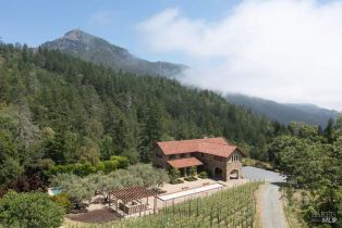 Single Family Residence,  Ida Clayton road, Calistoga, CA 94515 - 2