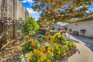 Single Family Residence,  Lassen street, Napa, CA 94558 - 24