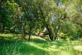 Residential Lot,  Sunnyhill lane, Napa, CA 94558 - 6