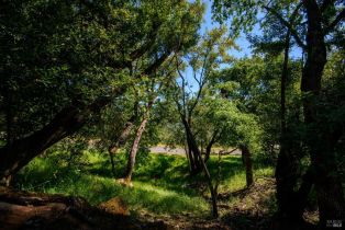 Residential Lot,  Sunnyhill lane, Napa, CA 94558 - 4