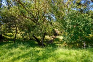 Land, Sunnyhill Ln #173, Napa, CA  Napa, CA 94558