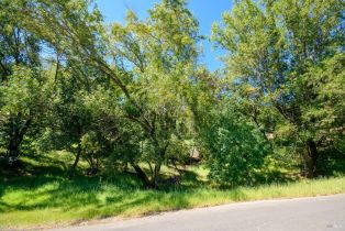 Residential Lot,  Sunnyhill lane, Napa, CA 94558 - 2