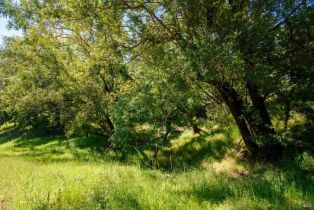 Residential Lot,  Sunnyhill lane, Napa, CA 94558 - 3