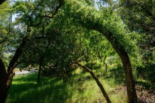 Residential Lot,  Sunnyhill lane, Napa, CA 94558 - 7