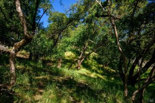 Residential Lot,  Sunnyhill lane, Napa, CA 94558 - 5