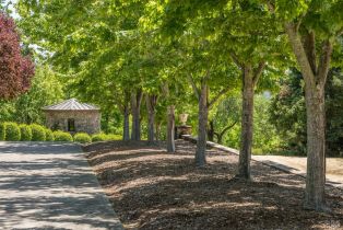 Single Family Residence,  4th street, Sonoma, CA 95476 - 31