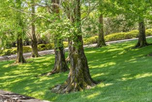 Single Family Residence,  4th street, Sonoma, CA 95476 - 29