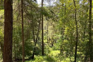 Residential Acreage,  Old Cazadero road, Russian River, CA 95421 - 9