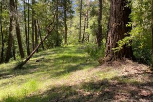 Residential Acreage,  Old Cazadero road, Russian River, CA 95421 - 11