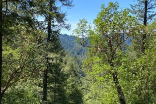 Residential Acreage,  Old Cazadero road, Russian River, CA 95421 - 15