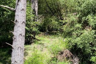 Residential Acreage,  Old Cazadero road, Russian River, CA 95421 - 13