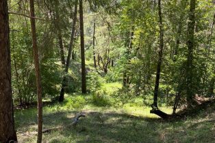 Residential Acreage,  Old Cazadero road, Russian River, CA 95421 - 10