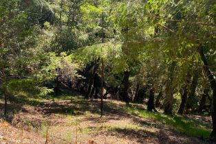 Residential Acreage,  Old Cazadero road, Russian River, CA 95421 - 19