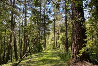 Residential Acreage,  Old Cazadero road, Russian River, CA 95421 - 12