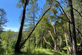 Residential Acreage,  Old Cazadero road, Russian River, CA 95421 - 14