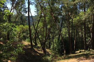 Residential Acreage,  Old Cazadero road, Russian River, CA 95421 - 2