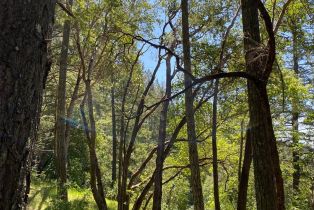 Residential Acreage,  Old Cazadero road, Russian River, CA 95421 - 16