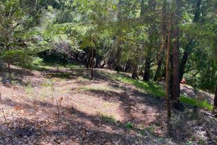 Residential Acreage,  Old Cazadero road, Russian River, CA 95421 - 4